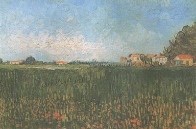 Vincent Van Gogh Farmhouses in a Wheat Field near Arles (nn04) Norge oil painting art